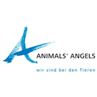 Animals Angels